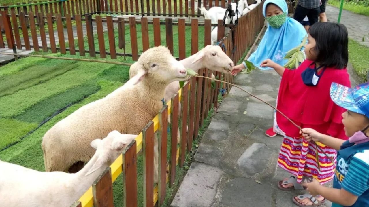 12 Tempat Wisata di Sleman yang Wajib Dikunjungi saat Liburan