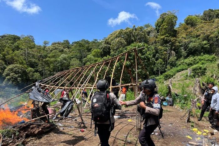Bareskrim Polri Bongkar 25 Hektare Ladang Ganja di Aceh, 180 Ton Tanaman Dimusnahkan
