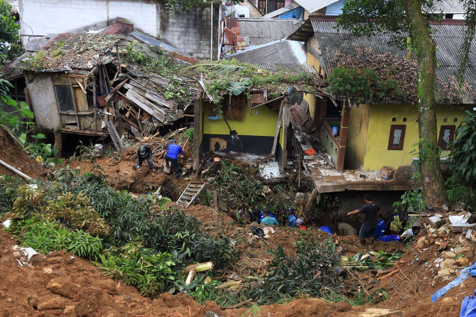Menteri KLH Tinjau Lokasi Longsor di Puncak, Tegaskan Langkah Hukum atas Bangunan Ilegal