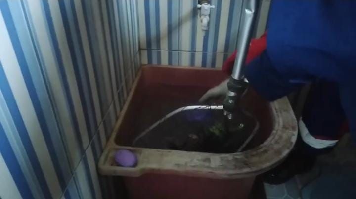 Warga Olak Kemang Jambi Temukan Anak Kera Terjebak di Bak Kamar Mandi