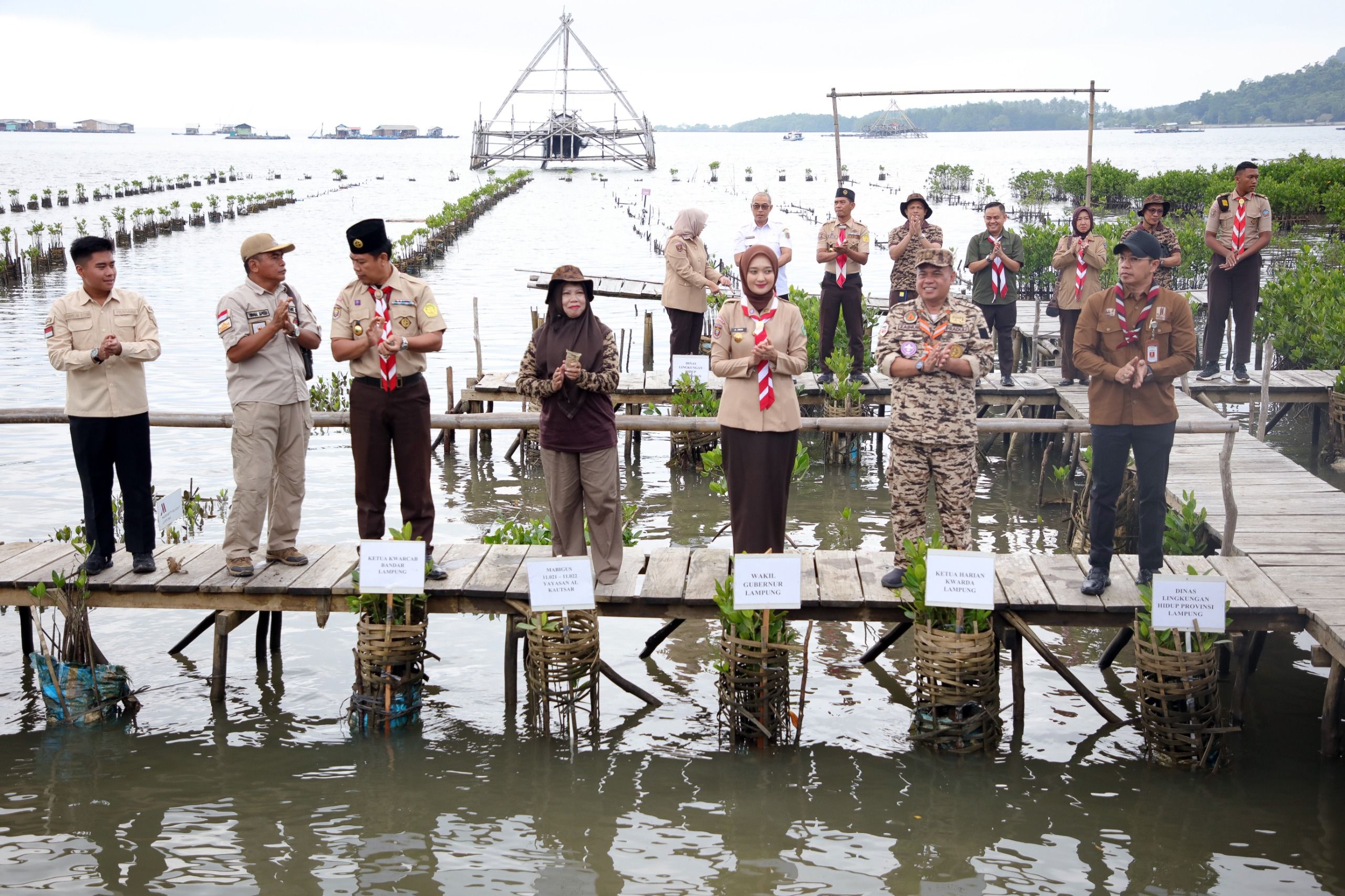 Penanaman 1.000 Bibit Mangrove di Lampung, Wagub Lampung Jihan Dorong Pelestarian Lingkungan Lebih Masif