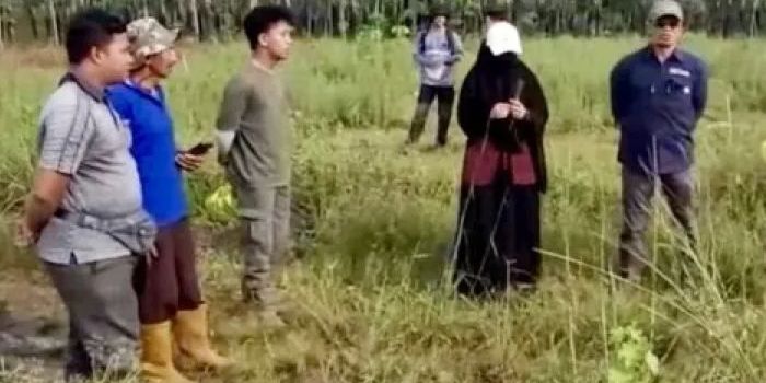 Evaluasi Program Rehabilitasi Hutan di Kalsel: Tantangan Air dan Komitmen Iklim