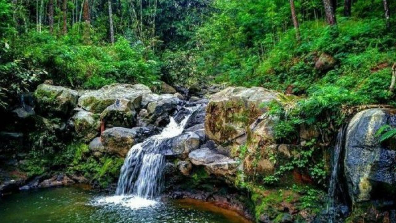 Liburan Seru di Pemalang! 3 Tempat Wisata Alami yang Wajib Kamu Kunjungi