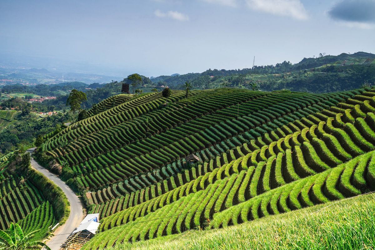 Rekomendasi 5 Wisata Alam Favorit Keluarga di Majalengka