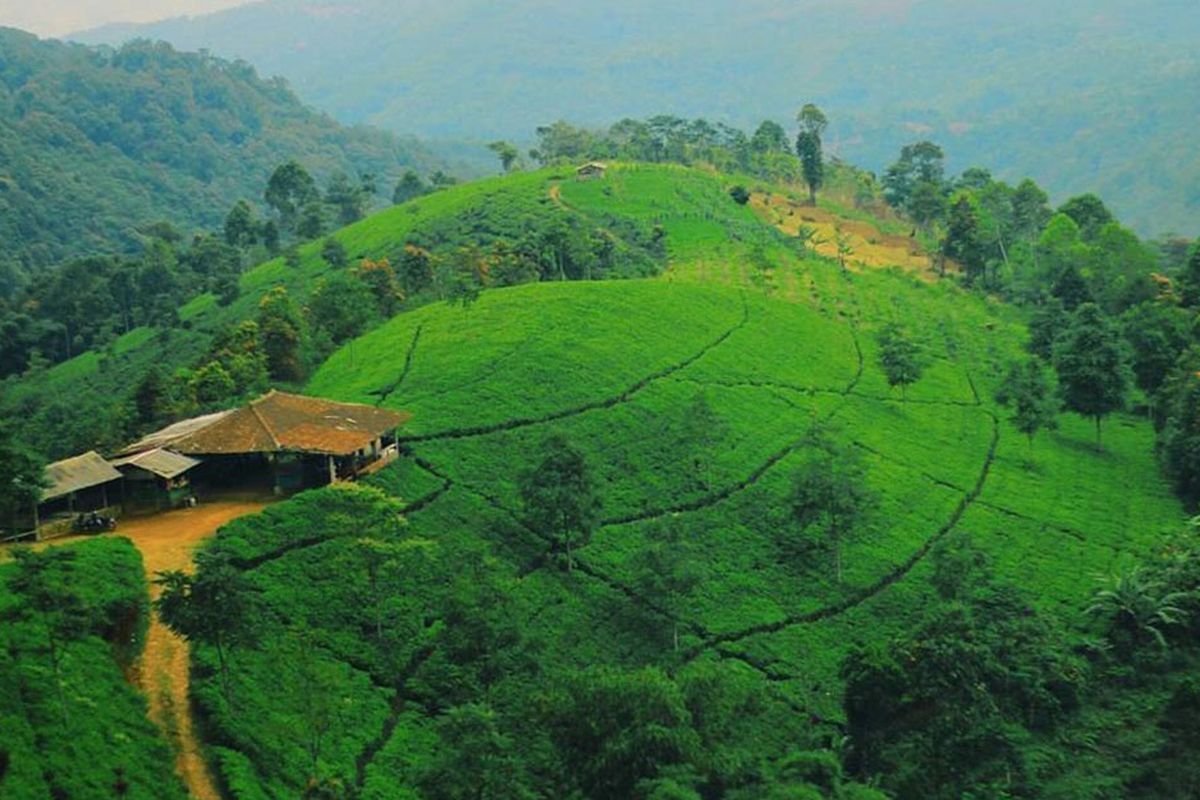 Rekomendasi 5 Wisata Alam Favorit Keluarga di Majalengka