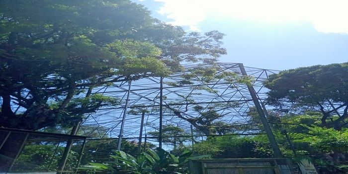 Ingin Berwisata ke Kota Bukittinggi? Berikut 2 Rekomendasi Objek Wisata Edukatif Di Kota Ini