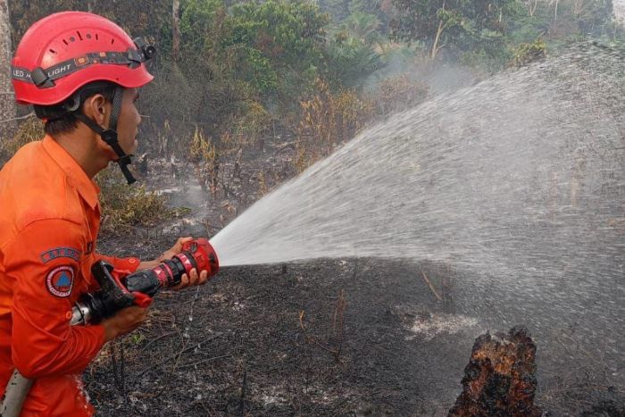 Satu Hektar Lahan Sawit Terbakar di Tebo Ulu, Tiga Titik Karhutla Terpantau dalam Sepekan