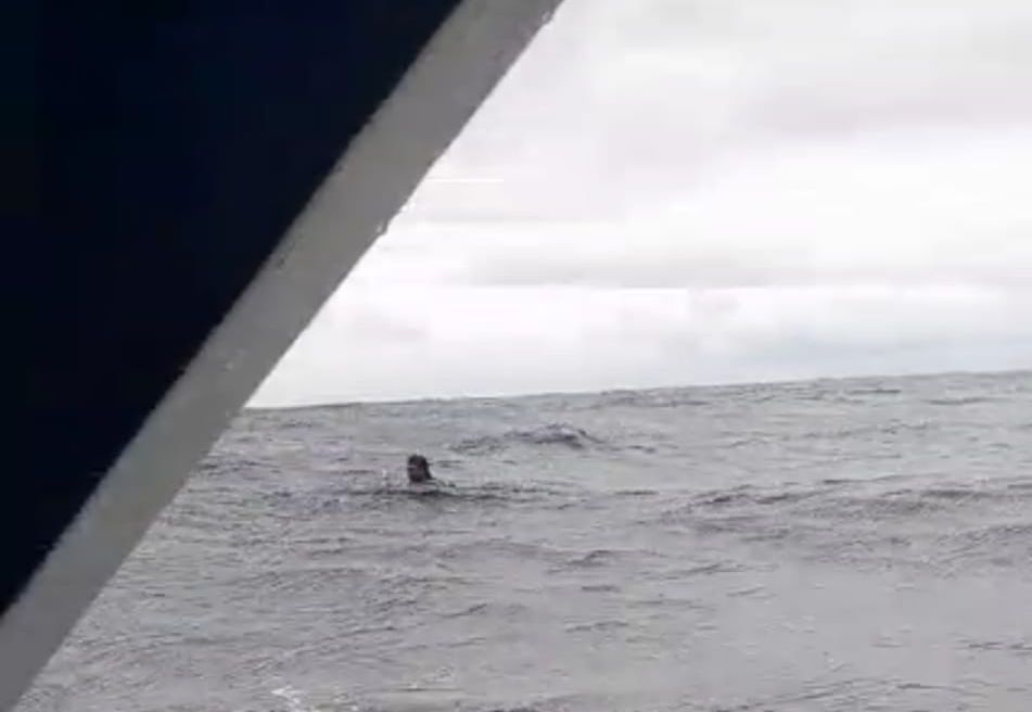 Juru Mudi Jatuh di Perairan Seram Bagian Barat Maluku Saat Speedboat Diterjang Ombak, Ditolong Rekan Korban