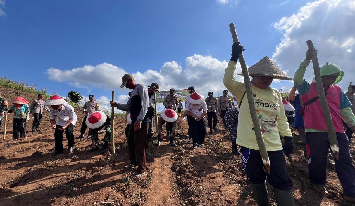 Sinergi Polri dan Petani Banyuwangi, Jadi Pilar Ketahanan Pangan Nasional lewat Tanam Jagung Massal
