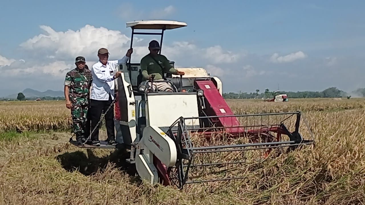 Wujudkan Swasembada Pangan, Ini Paparan Dari Wamentan RI
