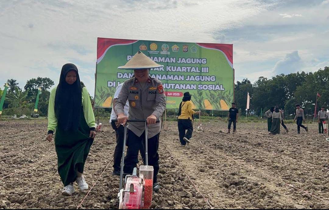 Tanam Jagung Bareng Forkopimda, Kapolda Sultra Dorong Kemandirian Pangan di Konawe