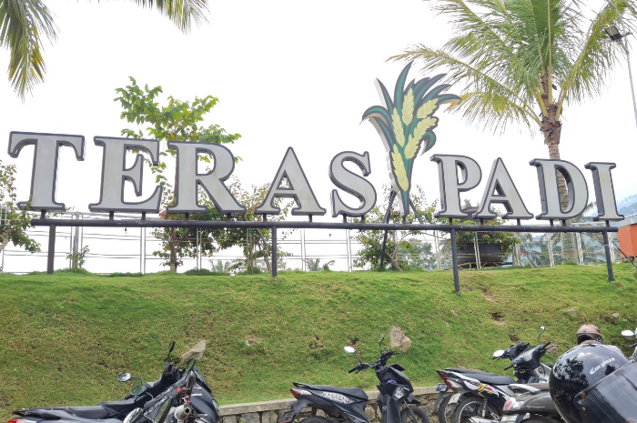 Menikmati Liburan Alam di Teras Padi Brebes, Indah dan Instagramebel