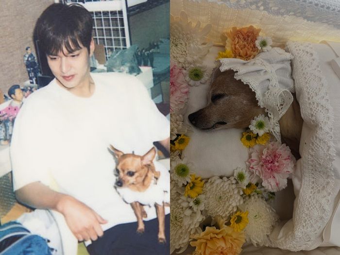 Lee Min Ho Berduka, Anjing Kesayangannya Choco Mati Setelah 16 Tahun Bersama