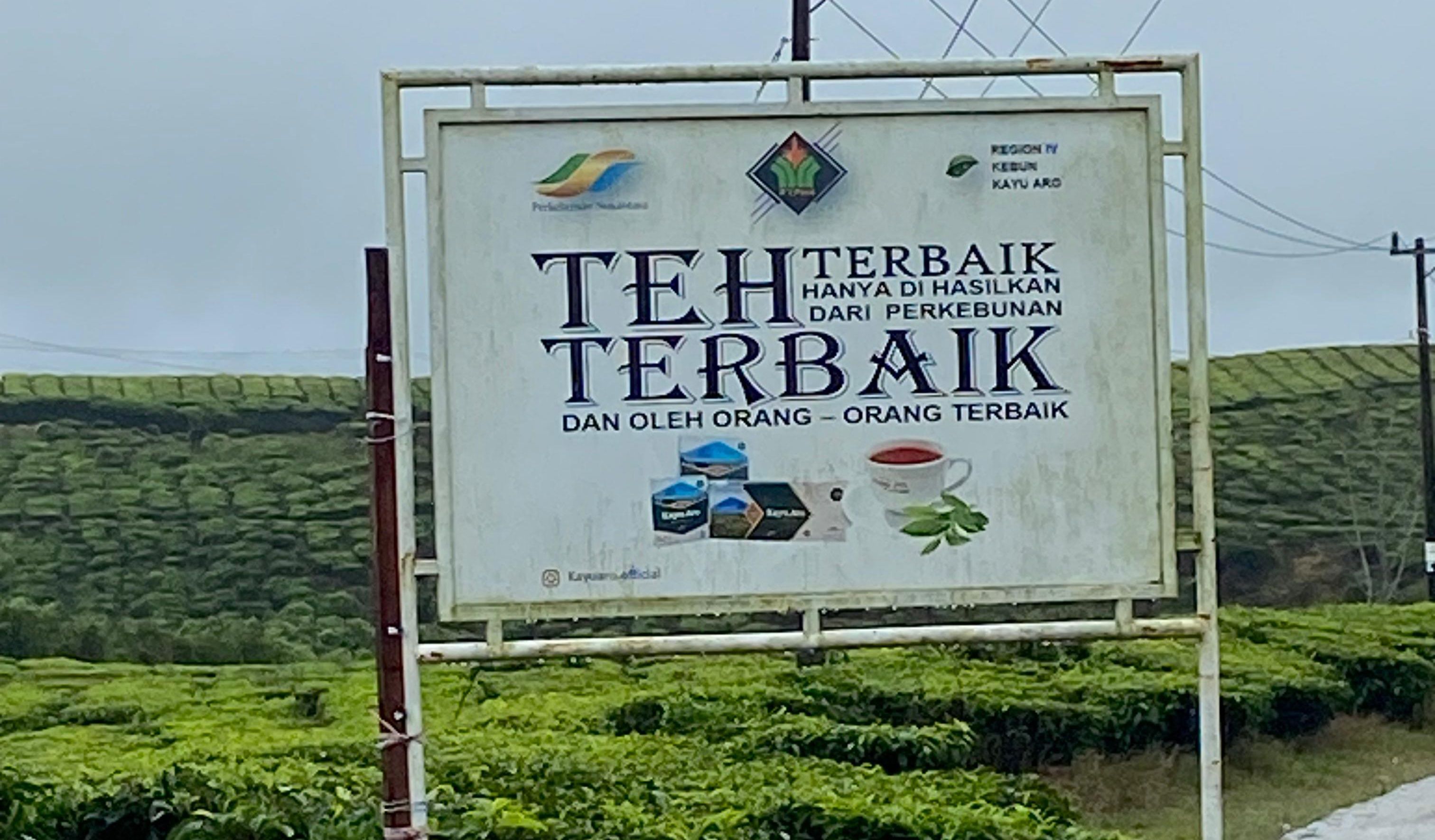 Kebun Teh Kayu Aro, Permadani Alam di Jantung Sumatera