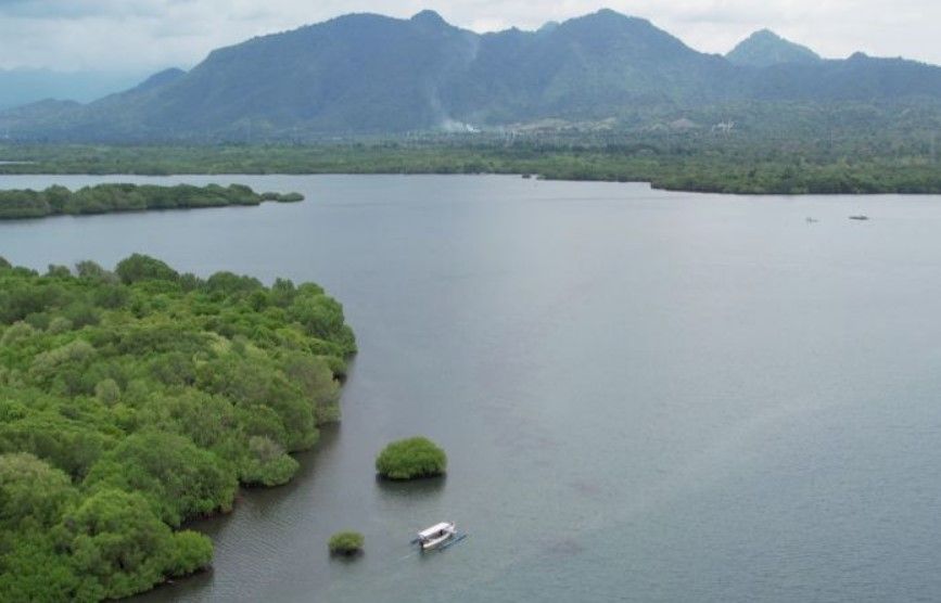 Menjelajahi Desa Blimbingsari Bali Barat: Menikmati Bird Watching, Wisata Budaya, hingga Snorkeling di Pulau Menjangan.