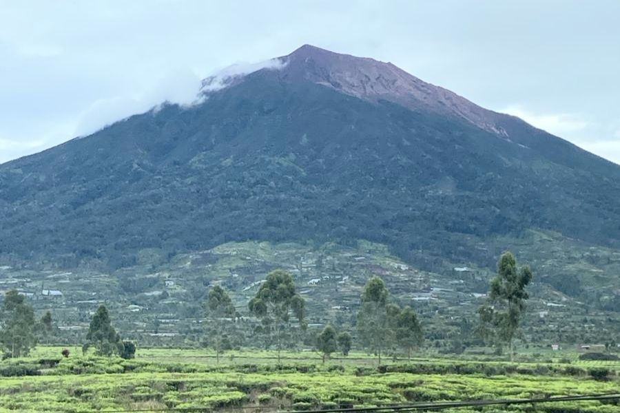 Kebun Teh Kayu Aro, Permadani Alam di Jantung Sumatera