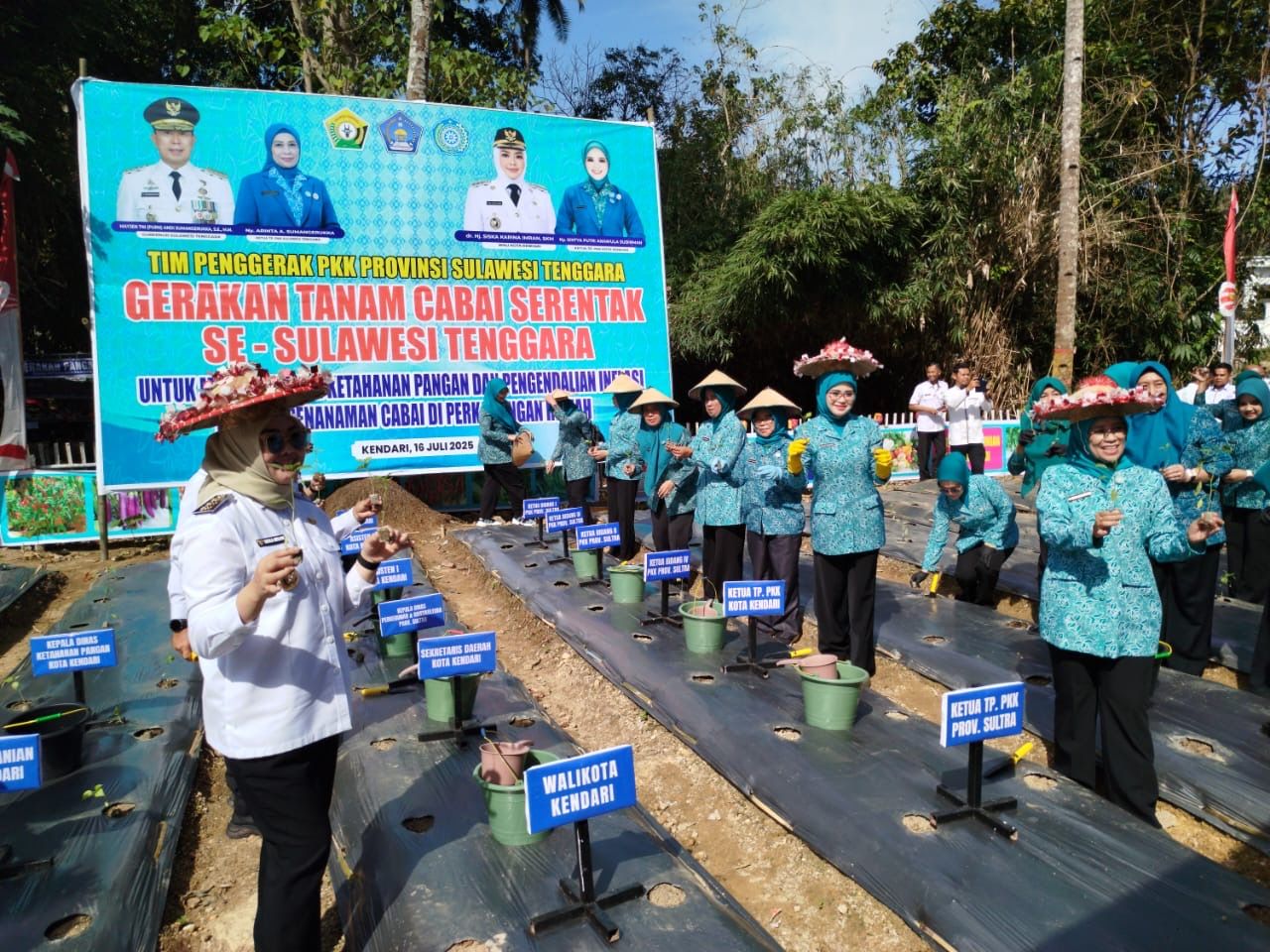 Kendari Jadi Pelopor Tanam Cabai Serentak untuk Kendalikan Inflasi Sultra