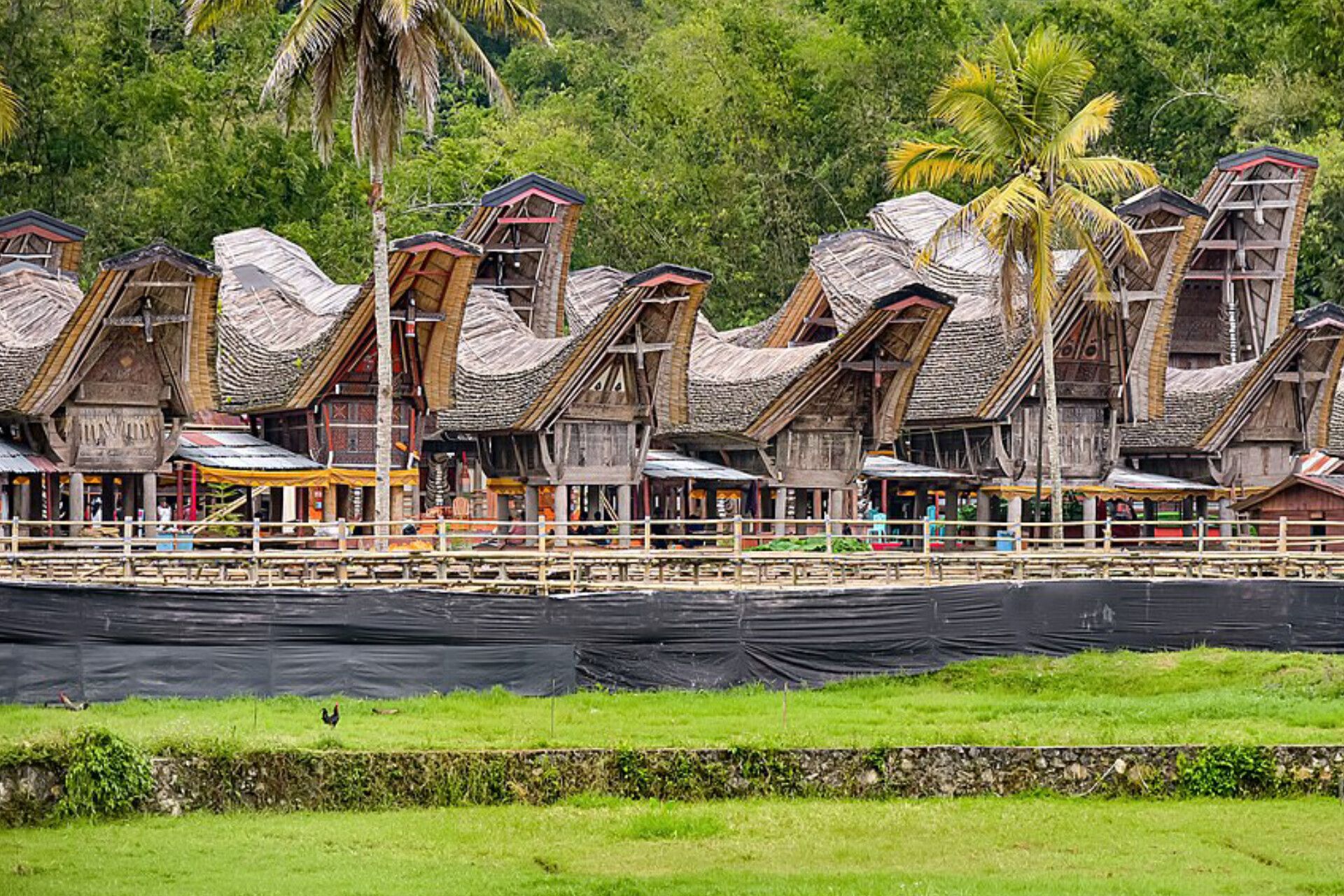 Bupati Tana Toraja Restui Pembentukan DOB Kabupaten Toraja Barat, Bakal Punya 8 Kecamatan
