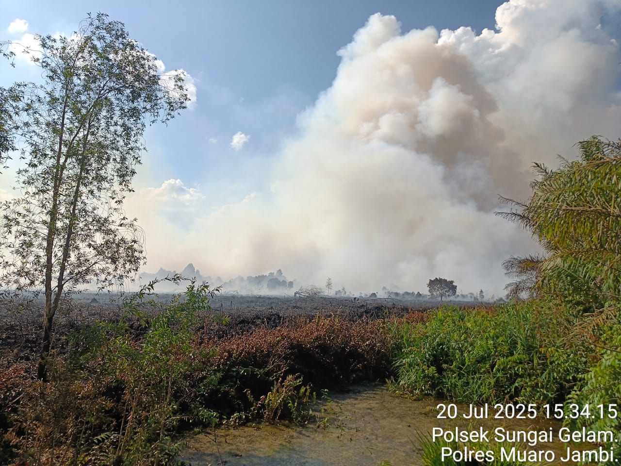 Lahan Gambut 50 Hektare Terbakar di Sungai Gelam, Api Belum Padam Selama Dua Hari