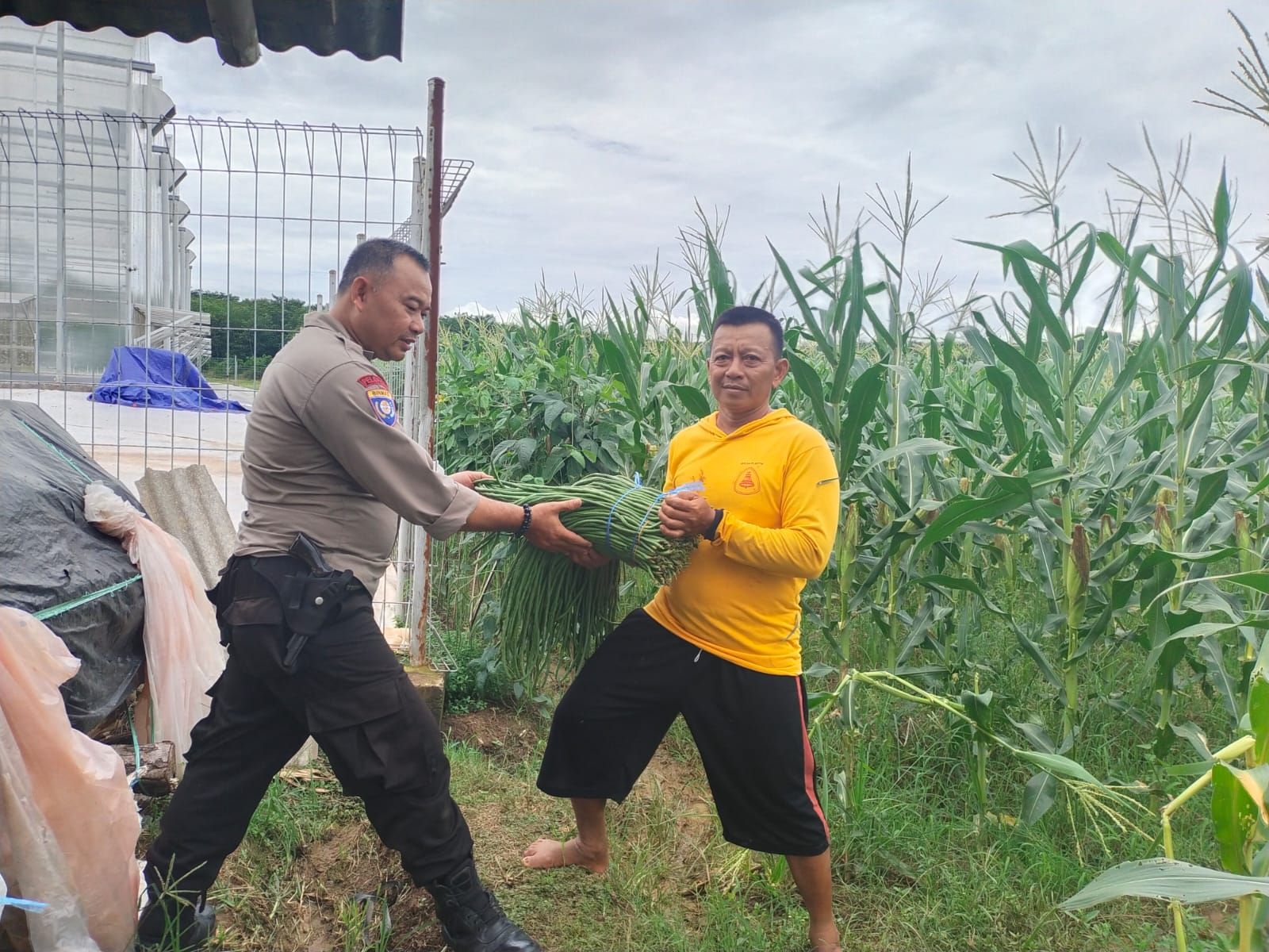 Rutin Lakukan Sambang Ke Petani, Upaya Polsek Campaka Dukung Ketahanan Pangan