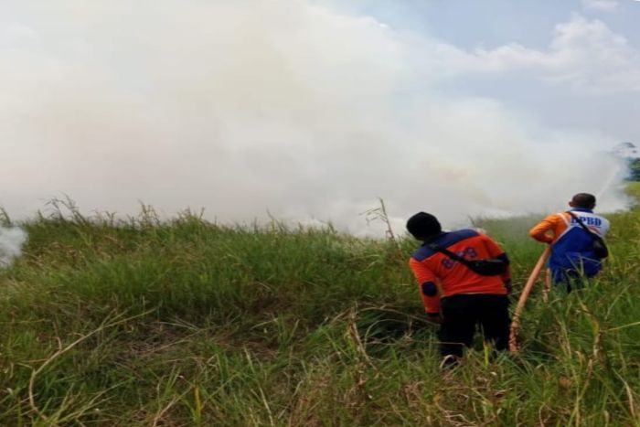 Karhutla Meluas, 5 Hektare Lahan Semi Gambut kembali Terbakar di Tanjab Barat