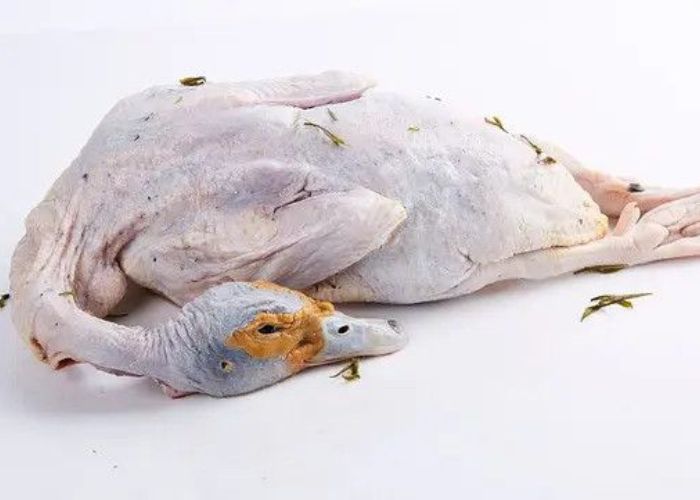 5 Manfaat Makan Daging Bebek Bagi Ibu Hamil yang Jarang Diketahui