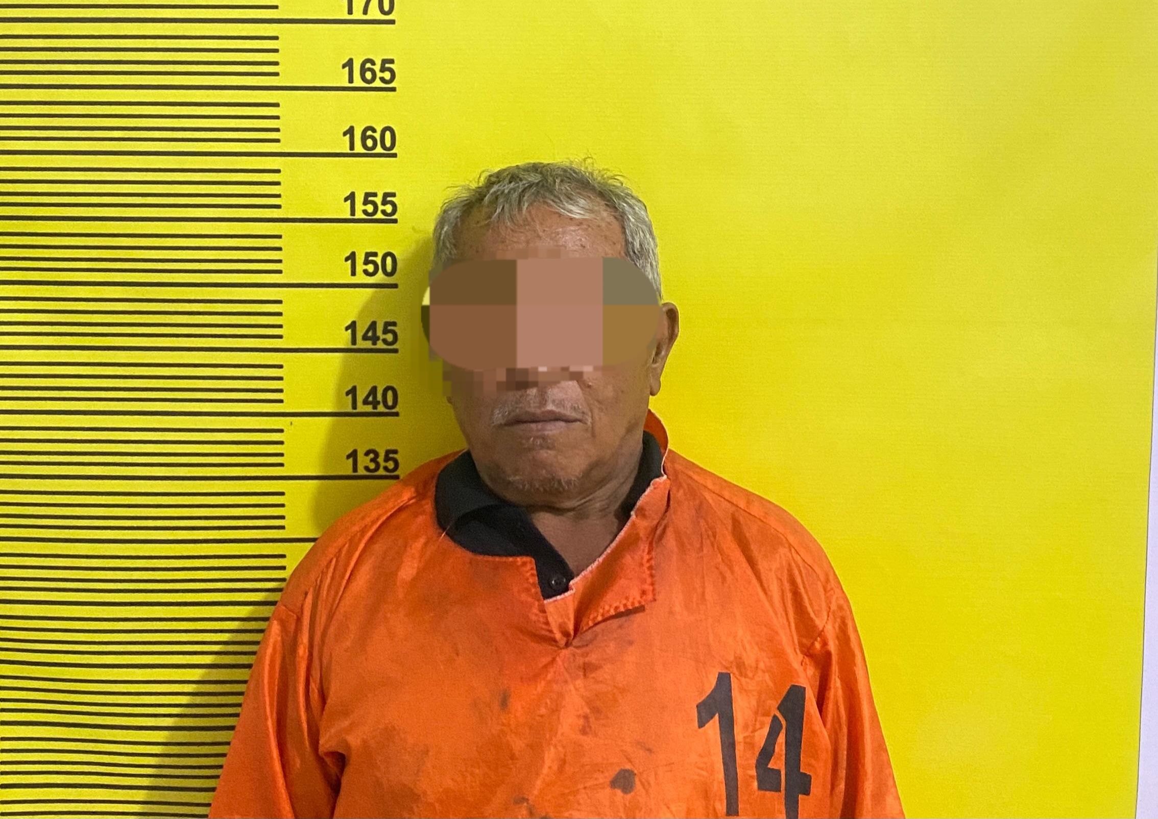 Polisi Tangkap Pelaku Pembakaran Lahan di Bengkalis
