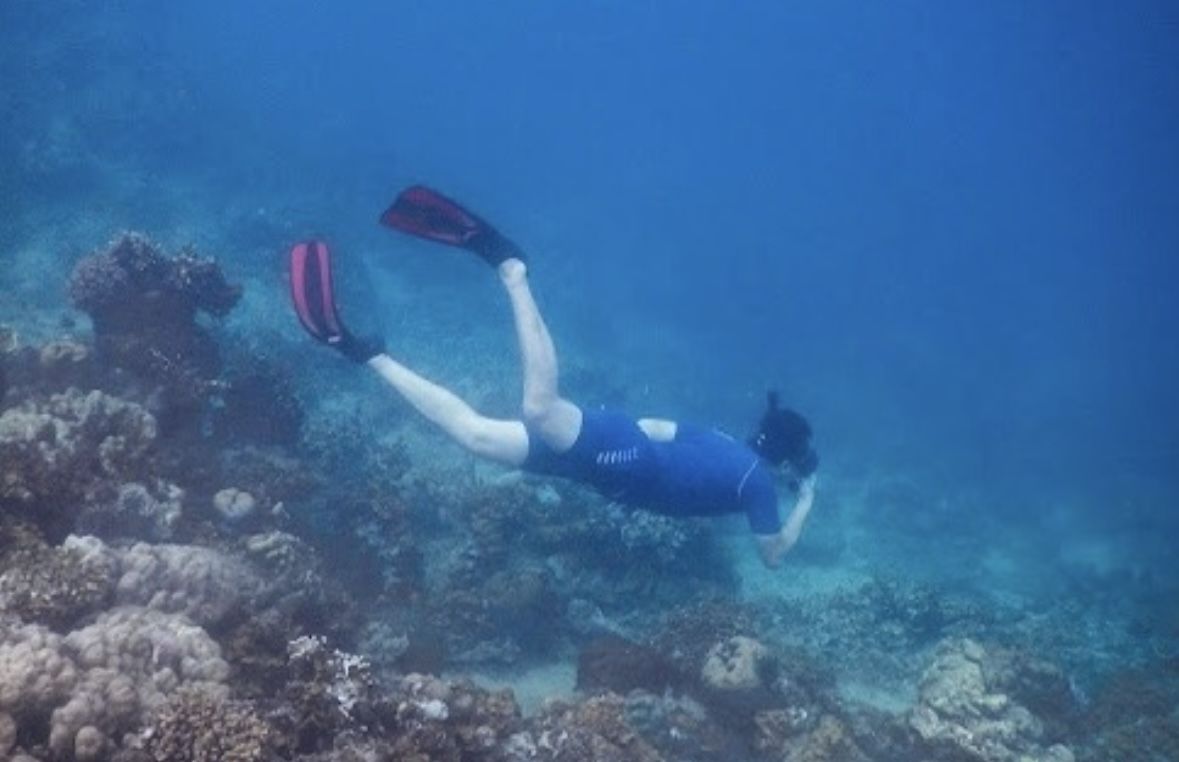 6 Spot Diving Cantik di Teluk Wondama Papua Barat