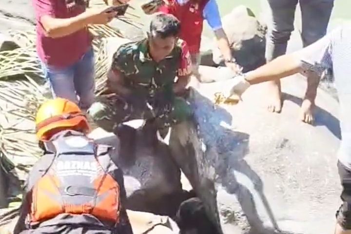 Hilang Sejak Sebulan Lalu, Kakek di Maros Ditemukan Sisa Kerangka