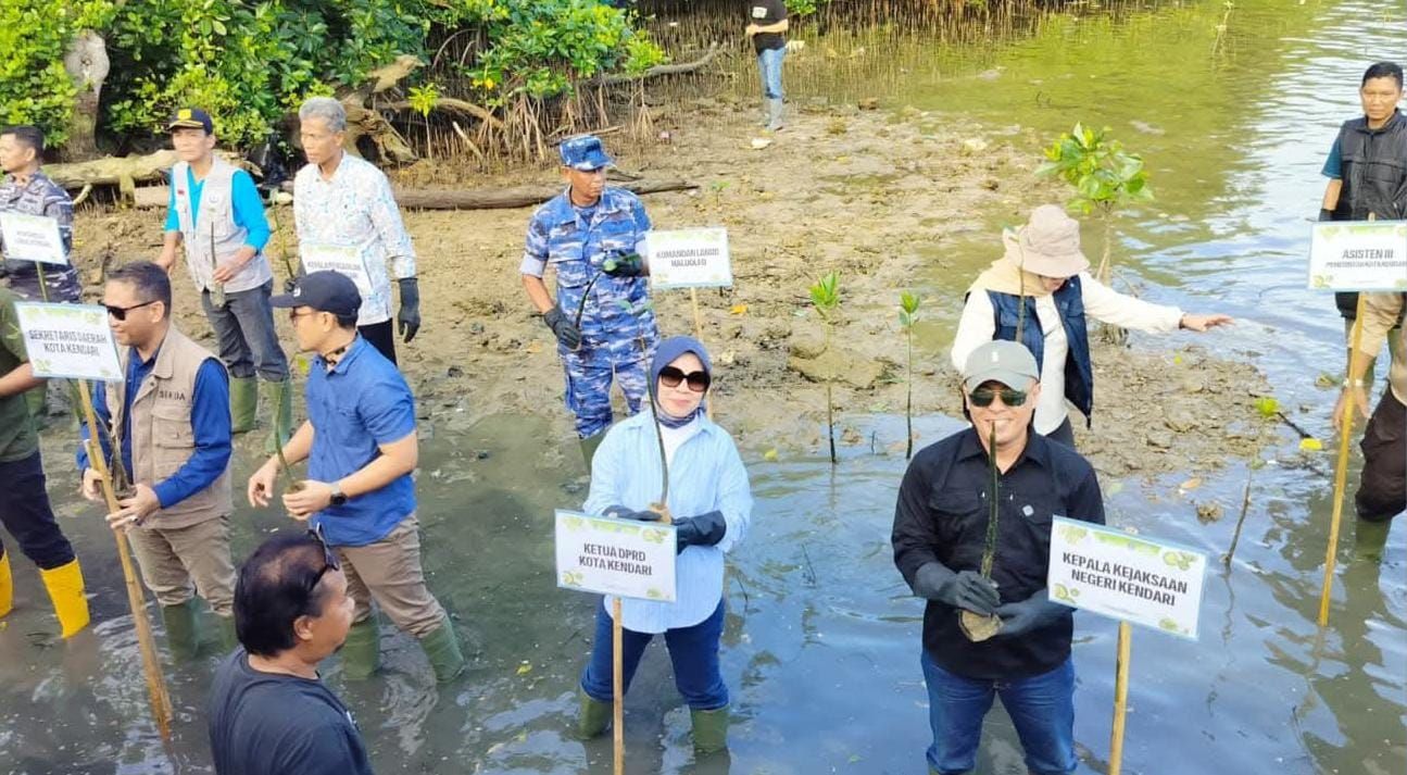Hari Mangrove Sedunia: Wakil Ketua DPRD Kendari Turun ke Pesisir Tanam Bibit dan Komitmen Jaga Alam