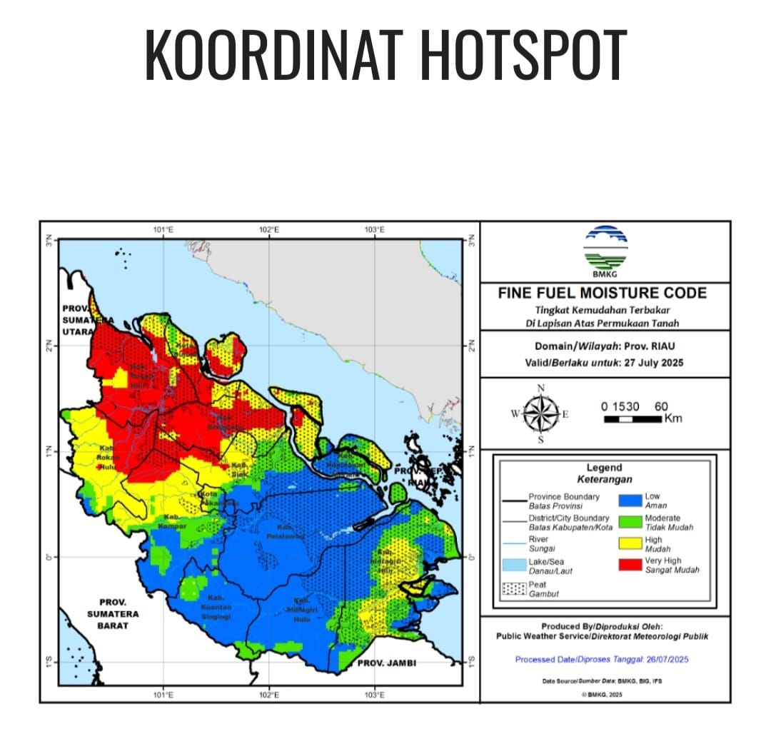Dari 14 Titik Api Jadi 4! Riau Terdepan Atasi Karhutla Sumatera