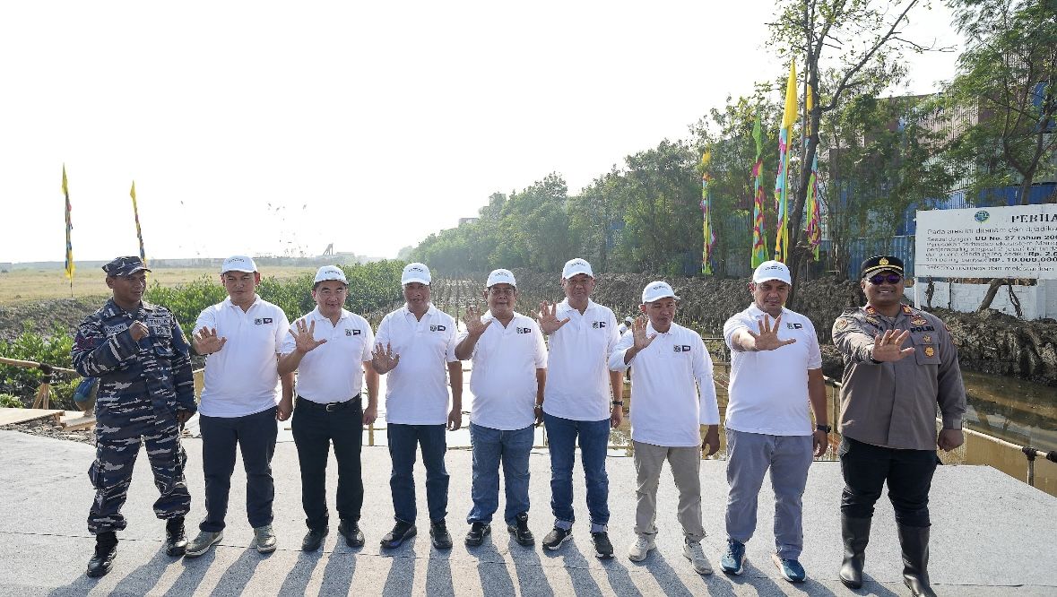 Sadar Gak? Menanam Mangrove Bantu Selamatin Jakarta dari Banjir Pesisir Loh