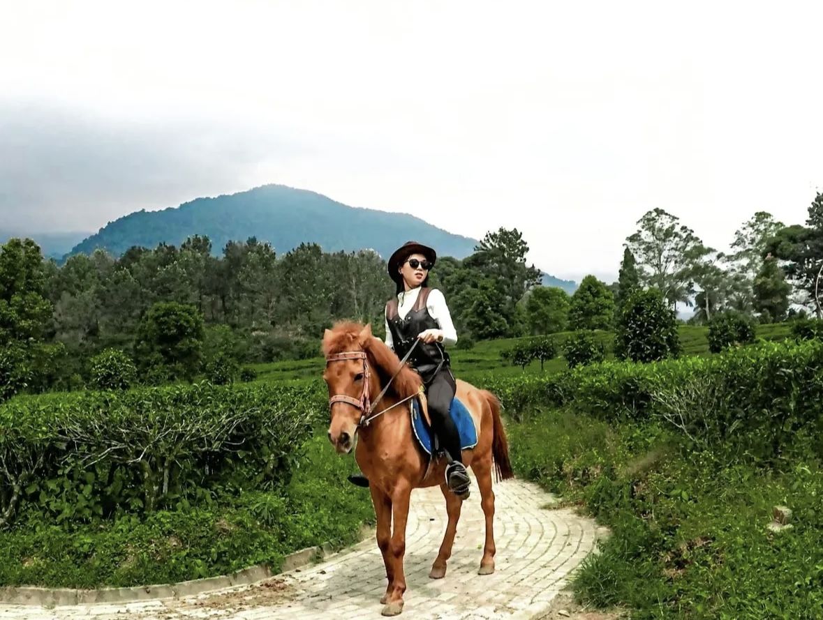 5 Spot Menarik di Agro Wisata Gunung Mas Puncak yang Wajib Kamu Eksplor
