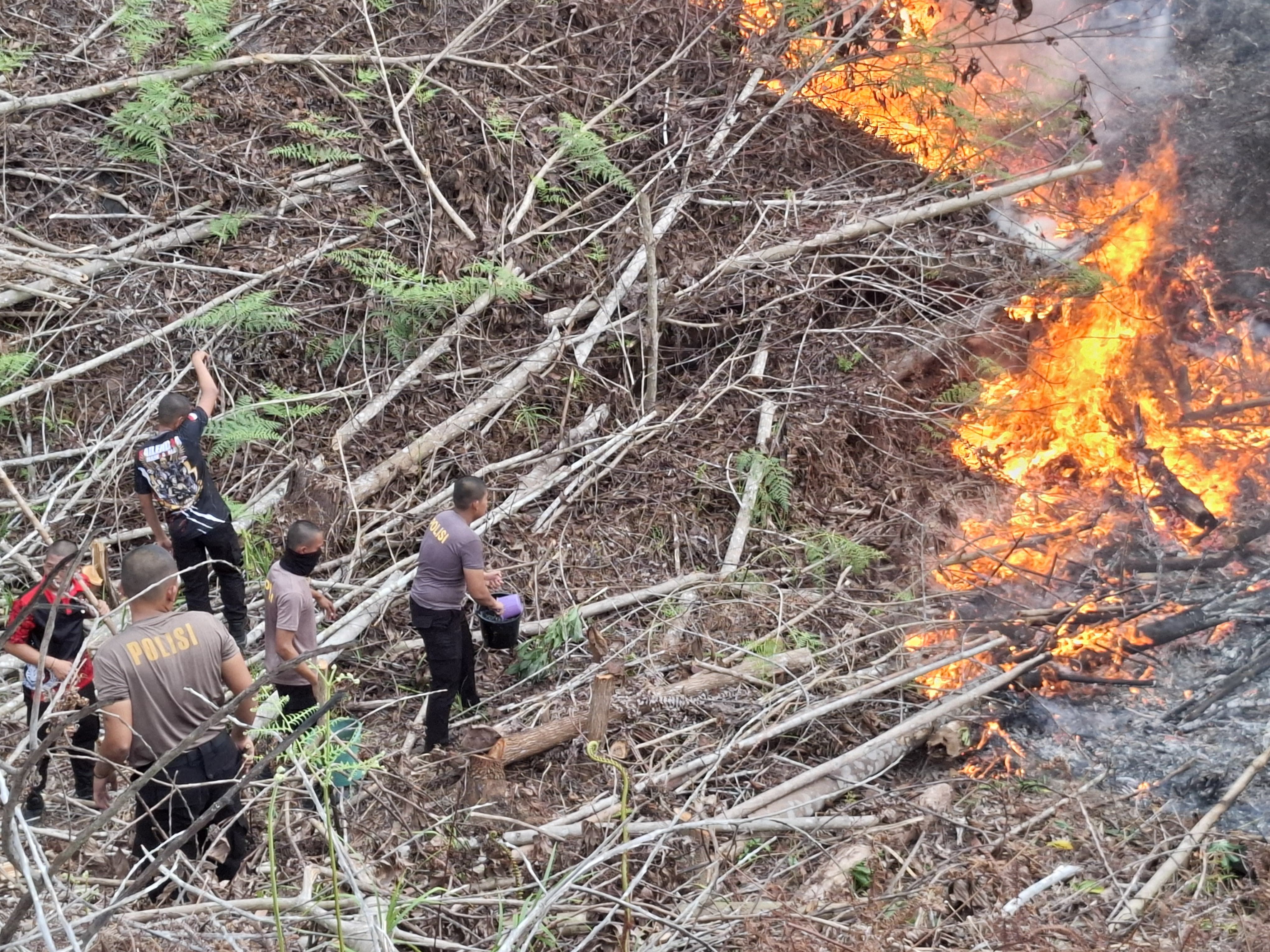 Ditsamapta Polda Kaltara Berjibaku Padamkan Karhutla di Tanjung Selor KM 6