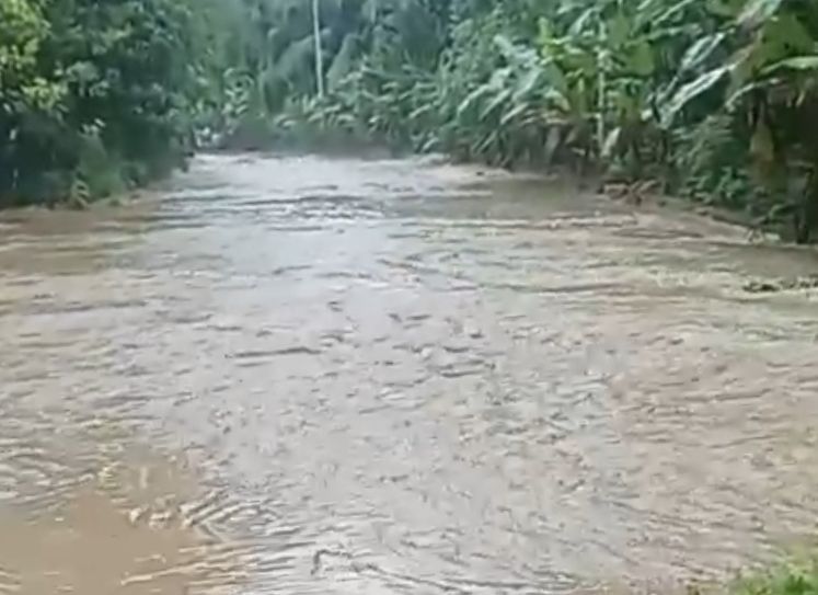 Lapor ! Jalan Trans Seram di Desa Hualoy Seram Bagian Barat Tergenang Banjir Akibat Meluapnya Sungai Ama