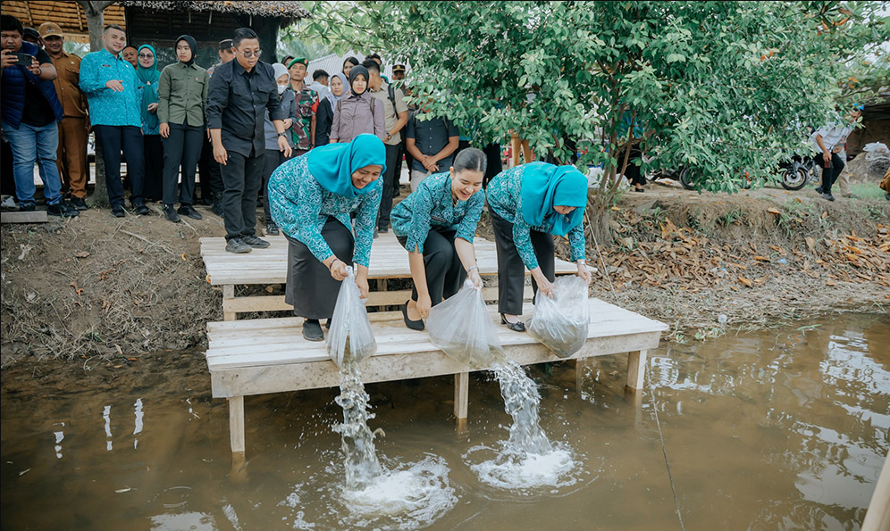 Sambut HKG PKK ke-53, Kahiyang Ayu Tebar 15 Ribu Benih Ikan di Langkat