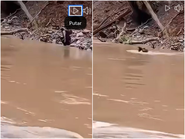 Bidan Dona Bertaruh Nyawa Berenang Seberangi Sungai Deras demi Obati Pasien TBC