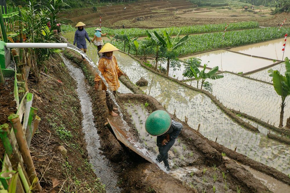 Upaya Menjaga Jateng Sebagai Lumbung Pangan Nasional