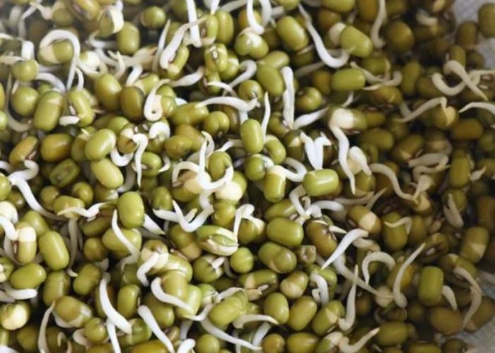 4 Makanan Sehat yang Bisa Dicampur dengan Alpukat agar Makin Bernutrisi