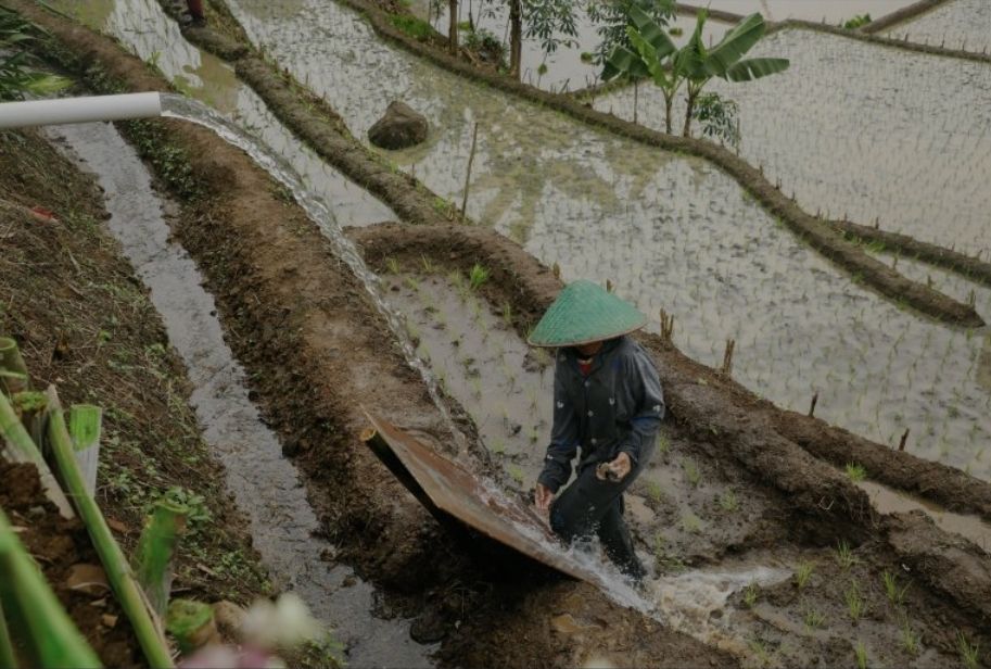 Pengairan Baru Diresmikan di Brebes, Petani Tak Lagi Bergantung Pada Hujan