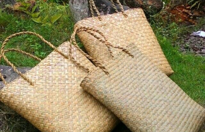 Dari Rawa ke Dunia: 3 Inovasi Purun Kalsel yang Mendunia dan Ramah Lingkungan