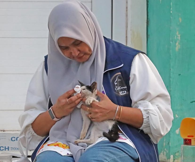 Internasional Cat Day ala Banda Aceh: Komunitas Pecinta Kucing Gelar Street Feeding & Rescue