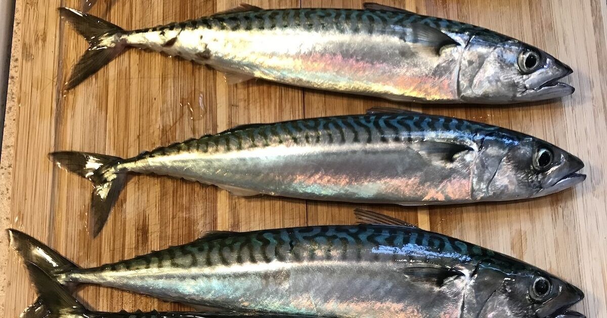 5 Makanan dengan Omega 3 Lebih Tinggi dari Salmon, Apa Saja?