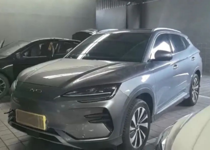 BYD Disambar Petir 3 Kali, Pemilik Selamat dan Baterai Tetap normal