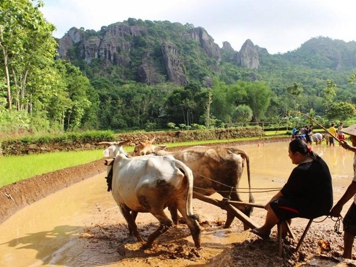 5 Desa Wisata Indonesia dengan Harmoni Kearifan Lokal dan Ekonomi Sejahtera yang Menginspirasi!