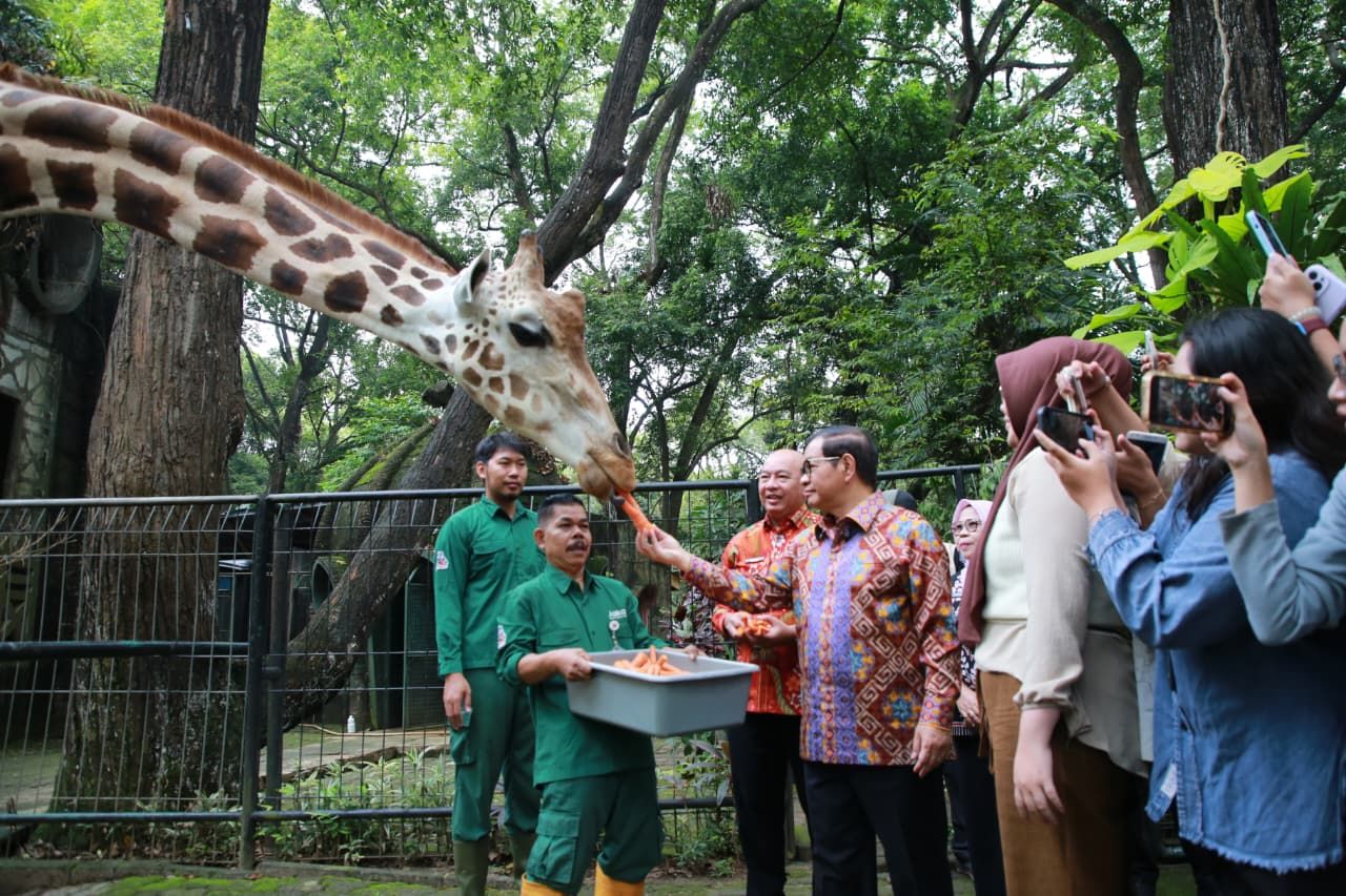Ragunan Siap Berbenah: Pramono Anung Janji Tingkatkan Kesejahteraan Satwa dan Fasilitas Pengunjung