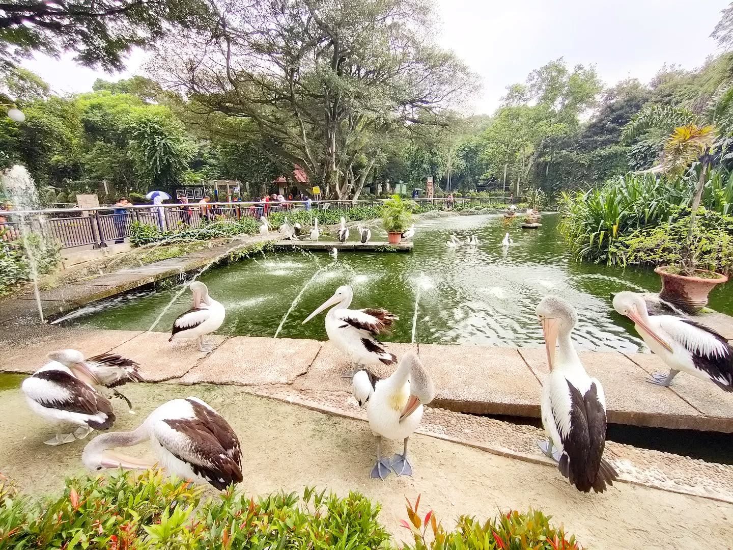 Kabar Gembira! Lansia dan Pemilik KJP Dapat Akses Gratis ke Ragunan hingga Monas