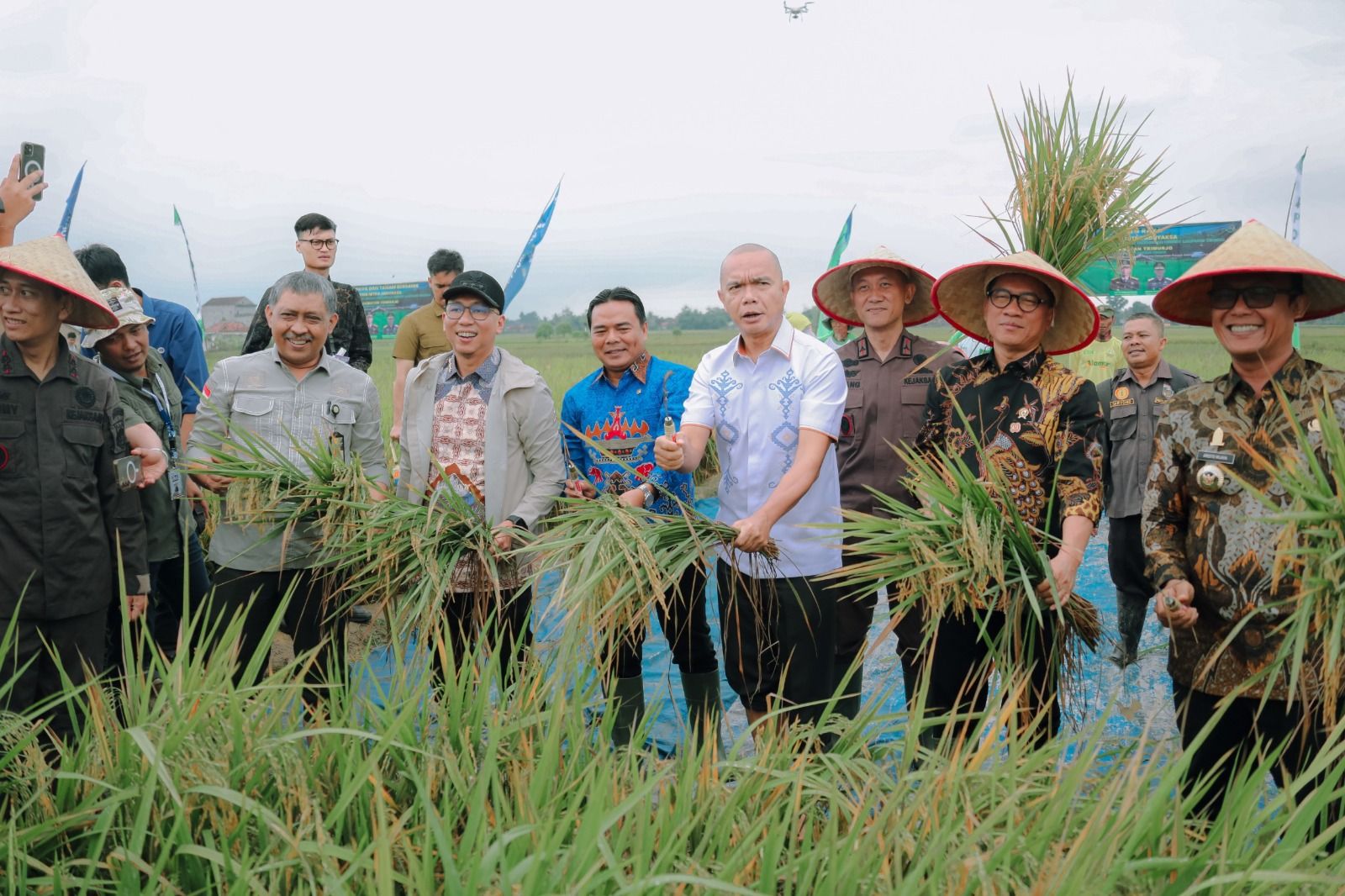 Panen Raya di Lampung Tengah Hasilkan 28.688 Ton Gabah Kering Panen