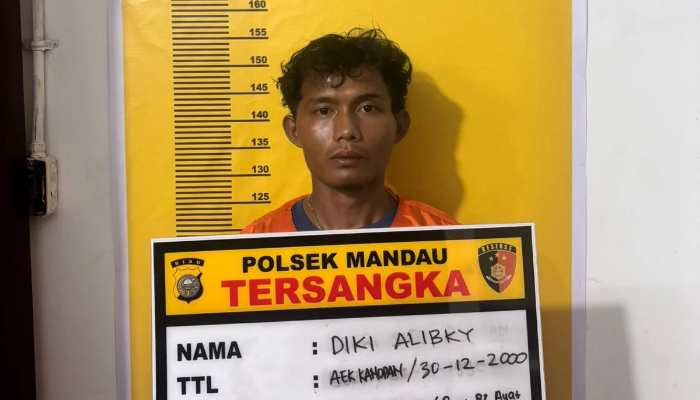 Gadis di Bengkalis Jadi Korban Pencabulan,Polisi Amankan Pelaku