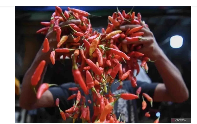 Harga Cabai Rawit dan Bawang Merah Turun, Bapanas Pantau Stabilitas Pangan Nasional